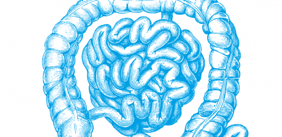 Recherche: L’intestin, un autre cerveau